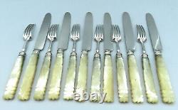 1824 Old Silver Massif Dessert Cutlery Mother-of-pearl Set Handles William IV