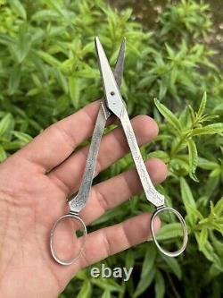 Antique Pair of Solid Silver Scissors with Grape Motif & Minerva & France & Silverware