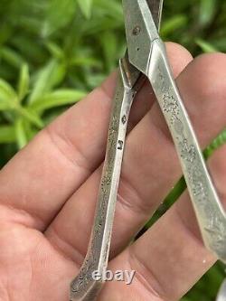 Antique Pair of Solid Silver Scissors with Grape Motif & Minerva & France & Silverware