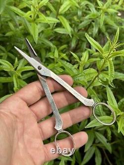 Antique Pair of Solid Silver Scissors with Grape Motif & Minerva & France & Silverware