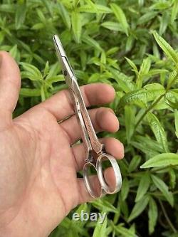 Antique Pair of Solid Silver Scissors with Grape Motif & Minerva & France & Silverware