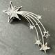 Antique Silver Brooch Digne Saint Vincent Pentacrine Star Rare