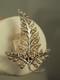 Antique Solid Silver Fine Pearls Victorian Seed Pearl Brooch