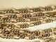Antique Vermeil Solid Silver Sautoir Necklace Large 142cm