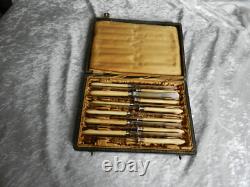 Antique box of 12 knives with solid silver blades Minerva