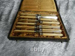 Antique box of 12 knives with solid silver blades Minerva