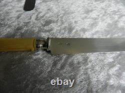 Antique box of 12 knives with solid silver blades Minerva