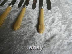 Antique box of 12 knives with solid silver blades Minerva