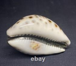 Antique snuffbox in speckled shell and solid silver early 19th century