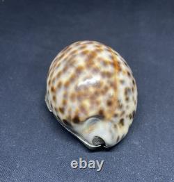 Antique snuffbox in speckled shell and solid silver early 19th century