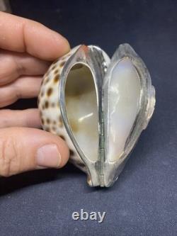 Antique snuffbox in speckled shell and solid silver early 19th century