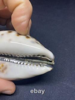 Antique snuffbox in speckled shell and solid silver early 19th century