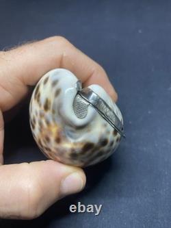 Antique snuffbox in speckled shell and solid silver early 19th century