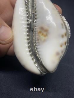 Antique snuffbox in speckled shell and solid silver early 19th century