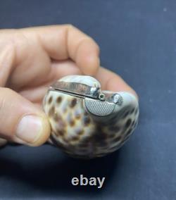 Antique snuffbox in speckled shell and solid silver early 19th century