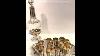 Carafe Tray And 12 Solid Silver Liqueur Glasses In Louis Xv Style From The Napoléon Iii Era.