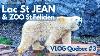Made On A Tour Du Lac Saint-jean Zoo Sauvage Vlog Qu Bec 3