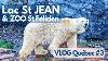 Made On A Tour Du Lac Saint-jean Zoo Sauvage Vlog Qu Bec 3