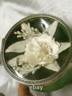 Old Arent Box, Solid Galuchat, Fixed Diorama Under Glass, Case