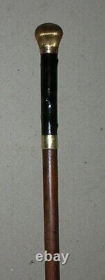 Old Walking Rod With Anti-cane Paw