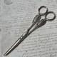 Silver Grape Scissors, Minerva, Late 19th Century, Antique Napol&eacute;on Iii