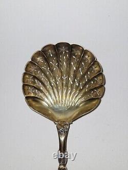 Superb And Old Spoon To Sprinkle Powdery In Solid Silver