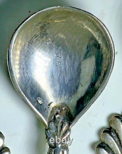 6 ANCIENNES CUILLÈRES à SEL en ARGENT MASSIF STERLING SANGLIER PALMETTES XIXème