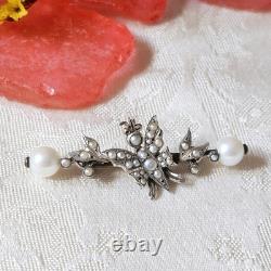 Broche De Col Ancienne Papillon Perles Fines Sur Vermeil Xixe 42x17mm
