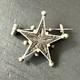 Broche Ancienne Argent Massif étoile De Digne Saint Vincent Pentacrine Rare